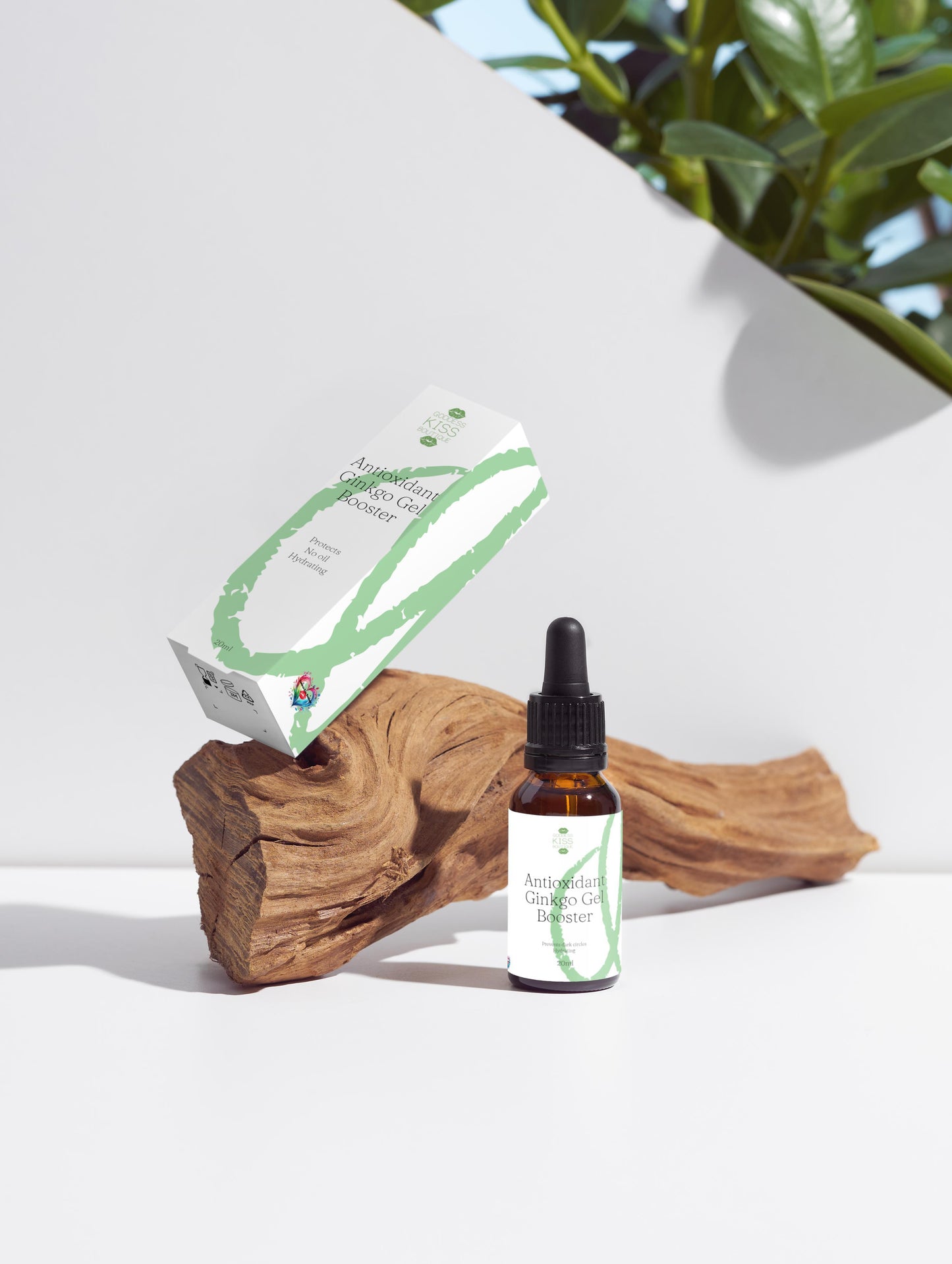 Antioxidant Ginkgo Gel Booster for Youthful Skin Revival